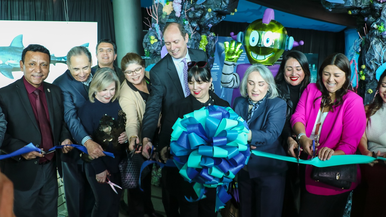 INAUGURÓ EL TROMPO SU NUEVA EXPOSICIÓN TIBURONES El Trompo Museo INAUGURÓ EL TROMPO SU NUEVA EXPOSICIÓN TIBURONES El Trompo Museo